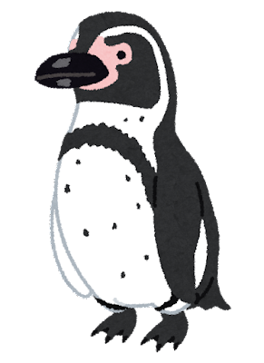 フンボルトペンギンのイラスト