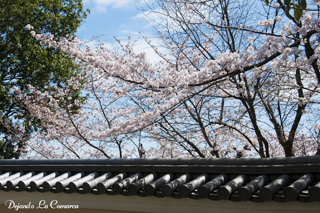 Día 10 - Nara - Osaka - Japón primavera 2016 - 18 días (con bajo presupuesto) (1)