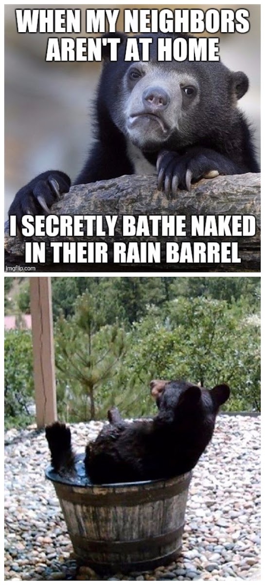Funny Secretly Bathing Bear Meme Joke Picture