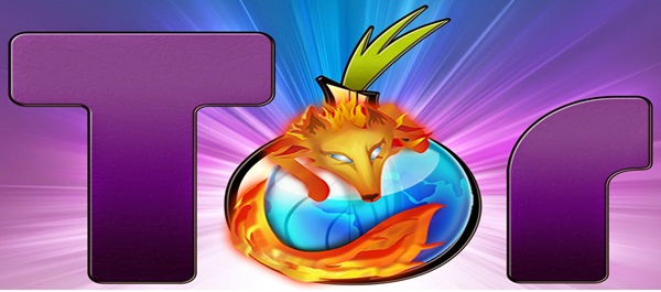 picture of tor browser logo picture of tor browser logo