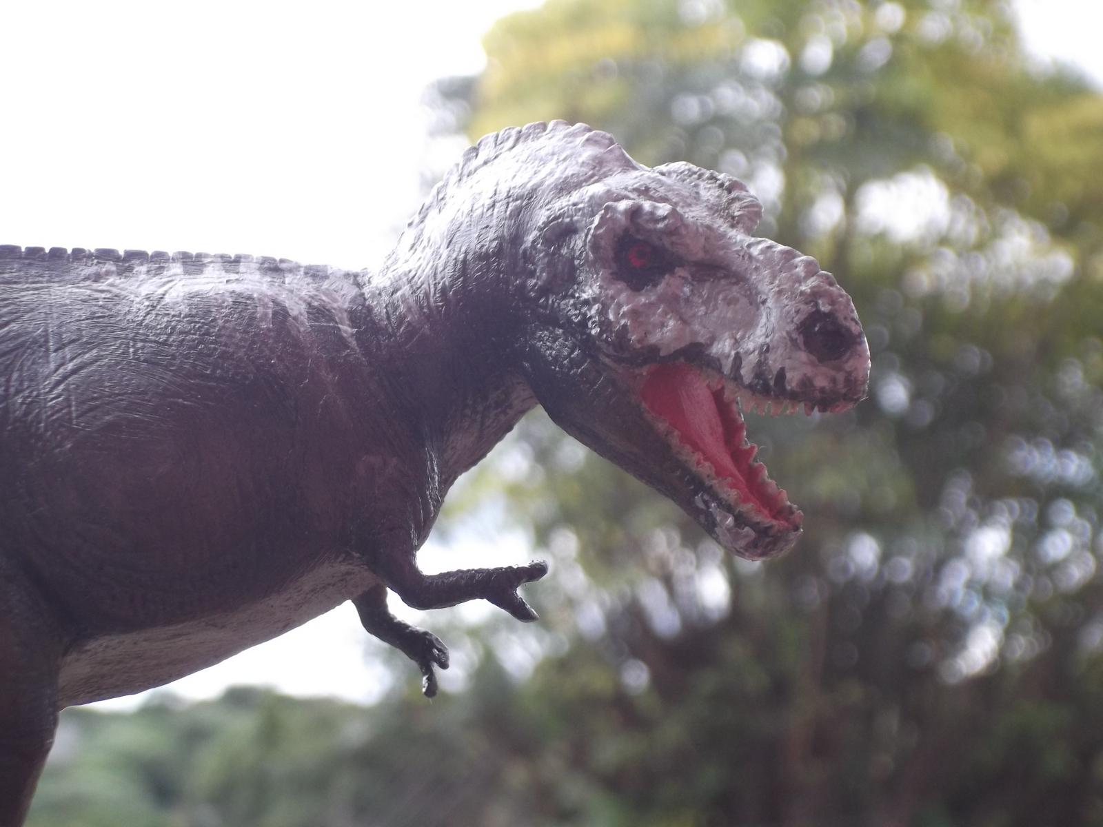 Wilkson Carvalho Portofólio: T-rex Dinosaur Revolution