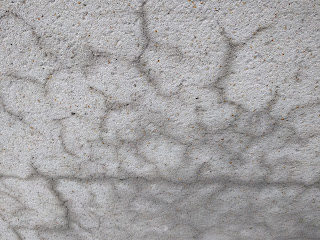 Concrete showing water seeding