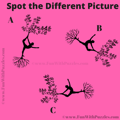 It is Picture Puzzle in which your task is to find the Odd One Out