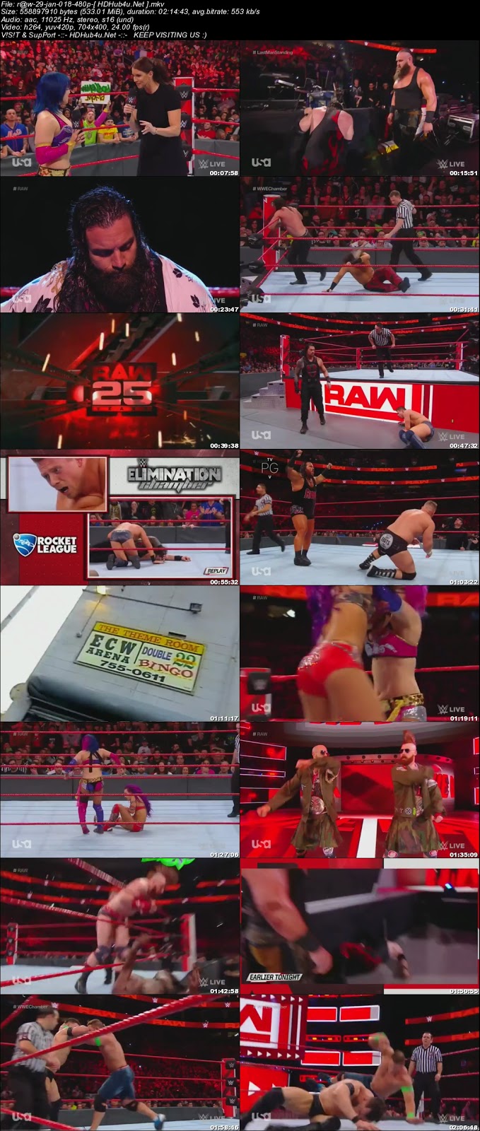 WWE Monday Night Raw 29th January 2018 480p HDTV 500MB