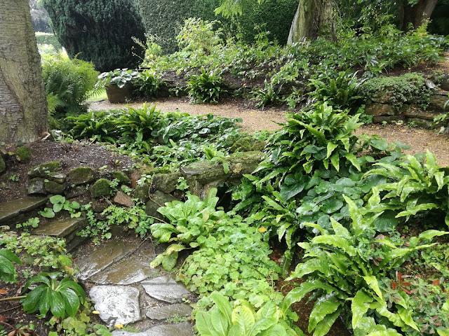 Water Garden, ogród w cieniu