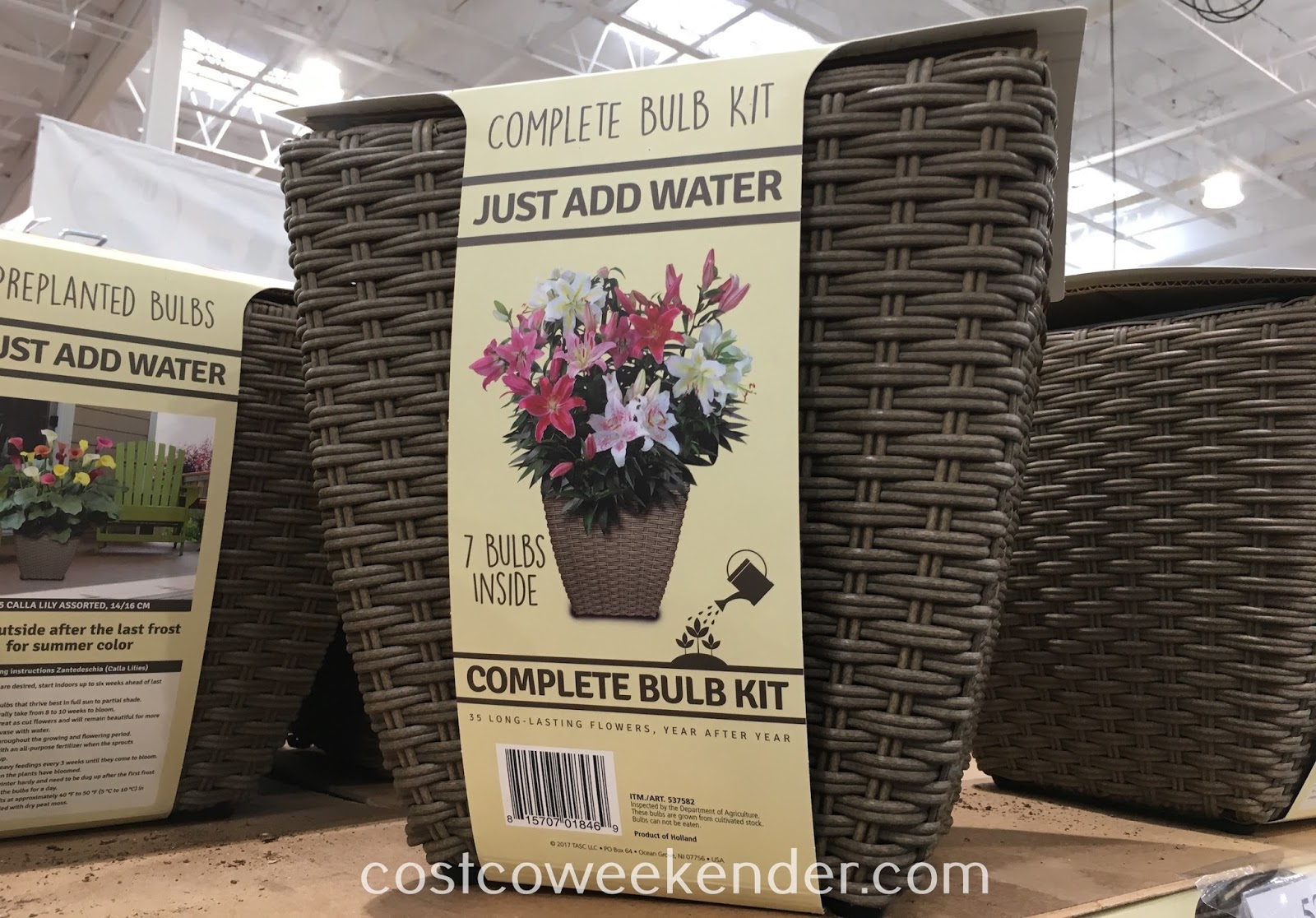 Complete Bulb Kit Container Costco Weekender