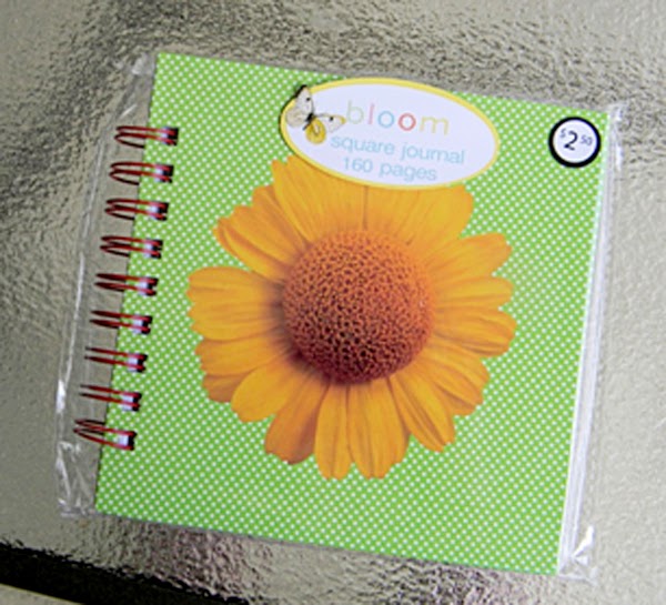 Eye Candy Creative Studio {CRAFTY TIP} DIY Chalkboard Journal