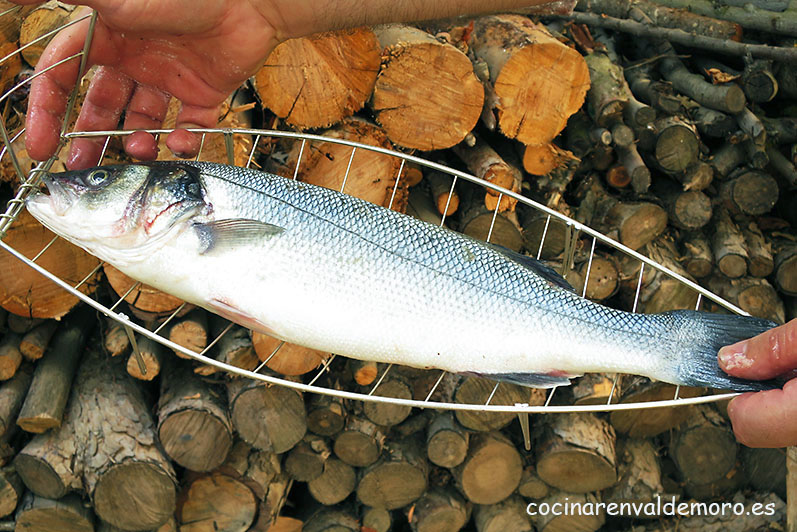 Lubina colocada en la besuguera