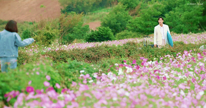 theqoo inserted image