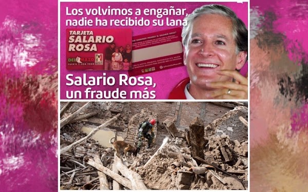 Para el INE es legal la ’Tarjeta Rosa’ e ilegal que Morena done 40 mdp a víctimas del sismo.