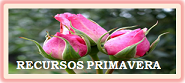 RECURSOS PRIMAVERA