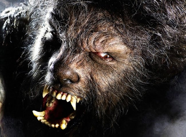 Werwolf Real Werwolf Real