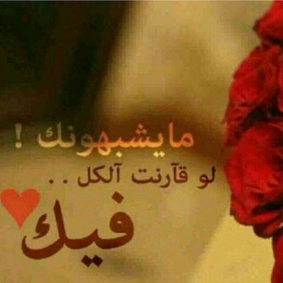 صور حب وعشق وغرام