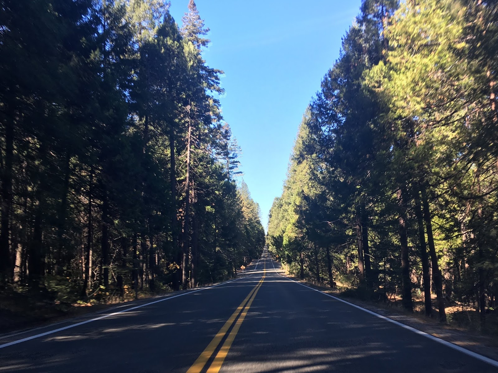 California State Route 20; from I80 in Emigrant Gap west to CA 174