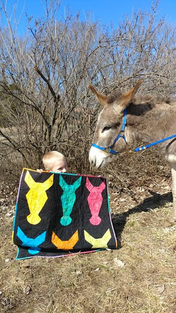Hee-Haw wonky donkey quilt using Island Batik fabrics by Slice of Pi Quits