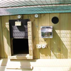 chicken ranger dorset coop opener door flyte coops hole pop