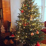 christmas tree 2012