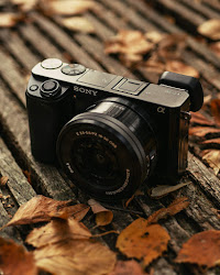camera sony a6000 close mirrorless kamera dslr beginners vlogging canon cheap rumoured pexels grass digitalkamera fokus buttons fotografie fotograf kostenloser