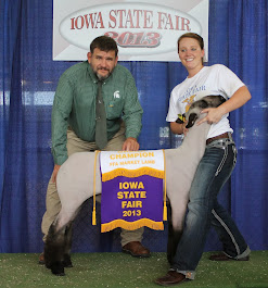 Grand Champion Market Lamb 2013 Iowa State Fair FFA