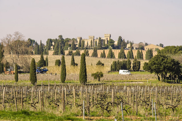 Vinuri Châteauneuf-du-Pape Franta