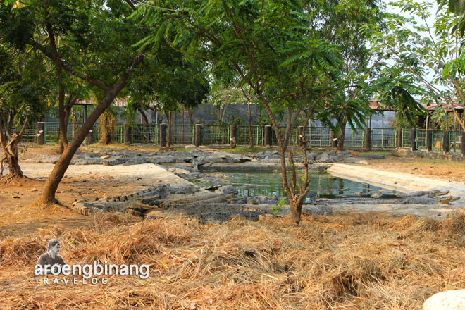 taman buaya tanjung pasir tangerang