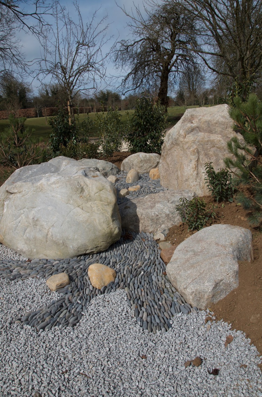 Future Plants By Randy Stewart Escallonia