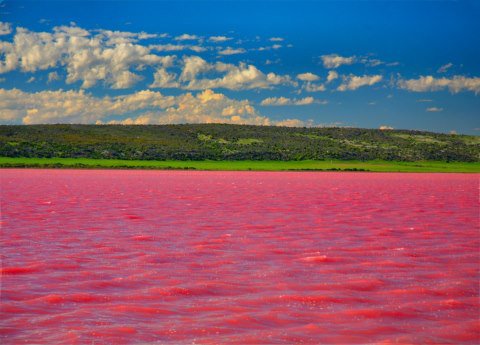 The Lac Rose (Or Lake Retba ) in Senegal