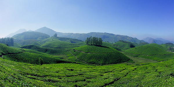  മൂന്നാര്‍ ഇപ്പോള്‍ മലനിരകളല്ല, കോണ്‍ക്രീറ്റ് വനങ്ങളും ഹോംസ്‌റ്റേകളും