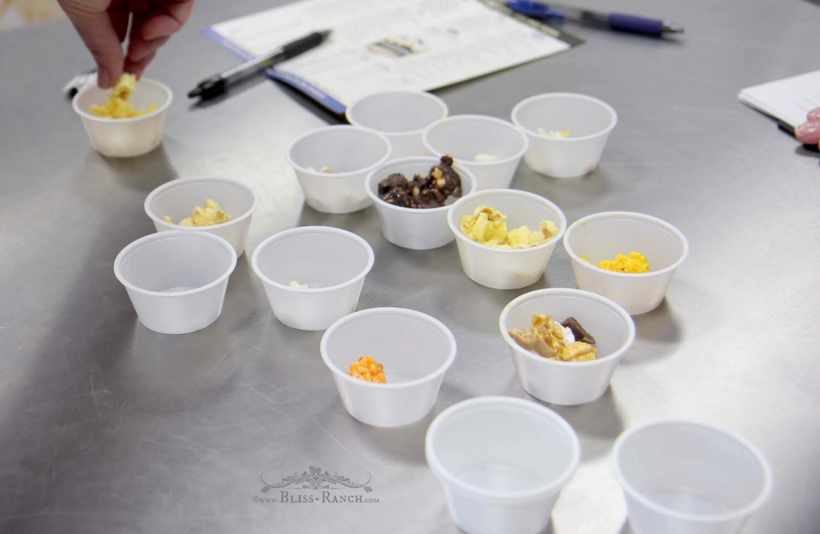 Bliss Ranch PoppedCorn Minnesota