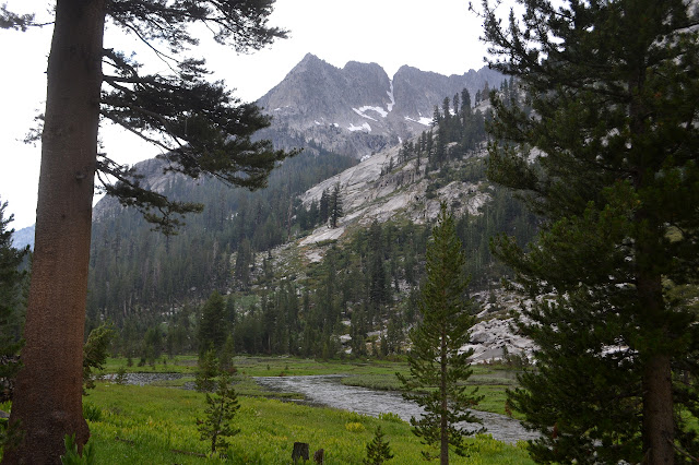 overfull creek in a meadow