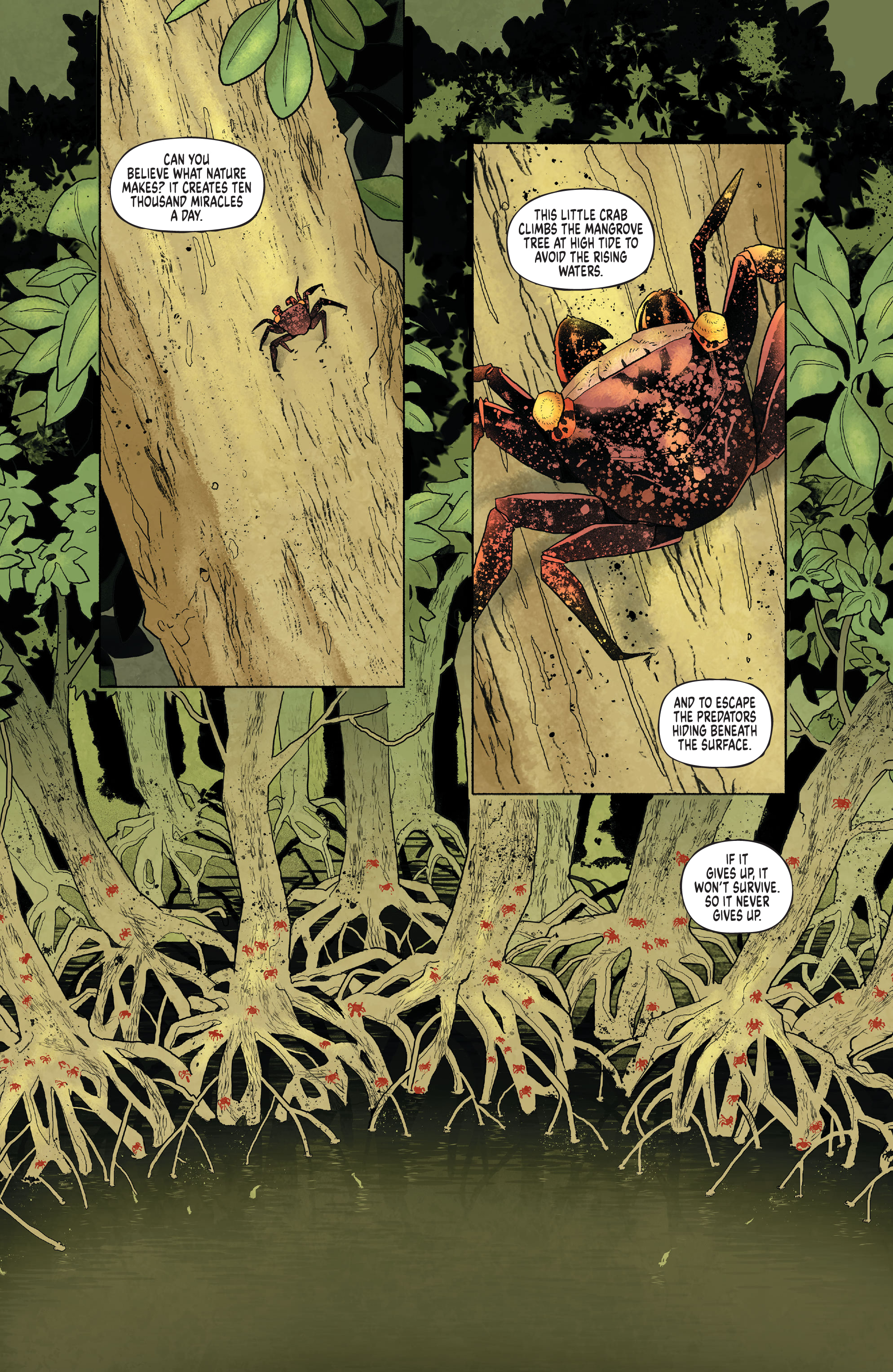 Read online Eve comic -  Issue #1 - 3