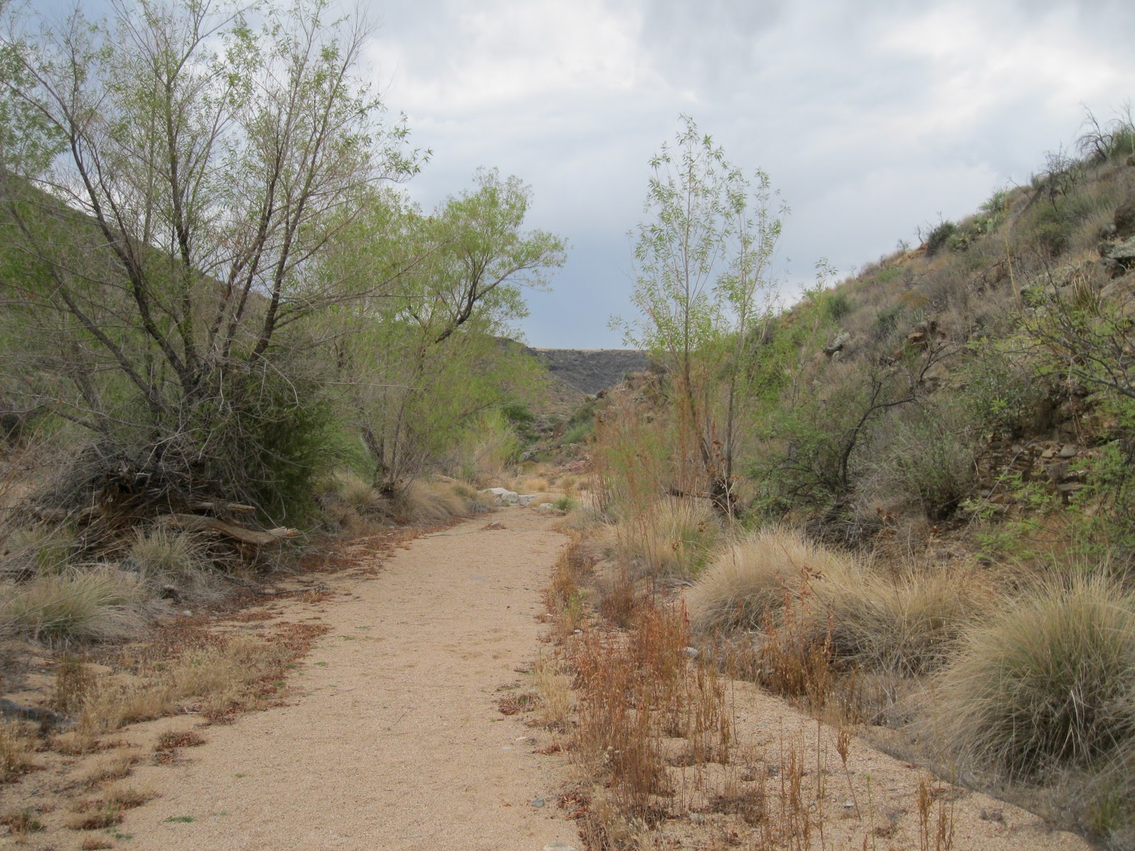 Four Corners HikesNavajo Nation Badger Springs TrailAgua Fria Nat