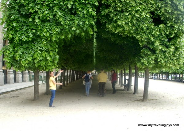 Royal National Park Nsw National Parks