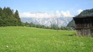 Gras, Bäume und Ötztaler Berge