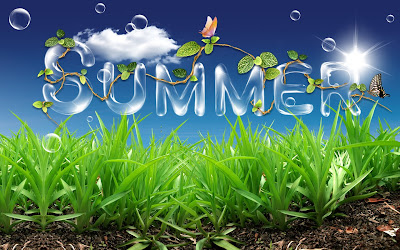 It's Summertime | Hd Desktop Wallpaper