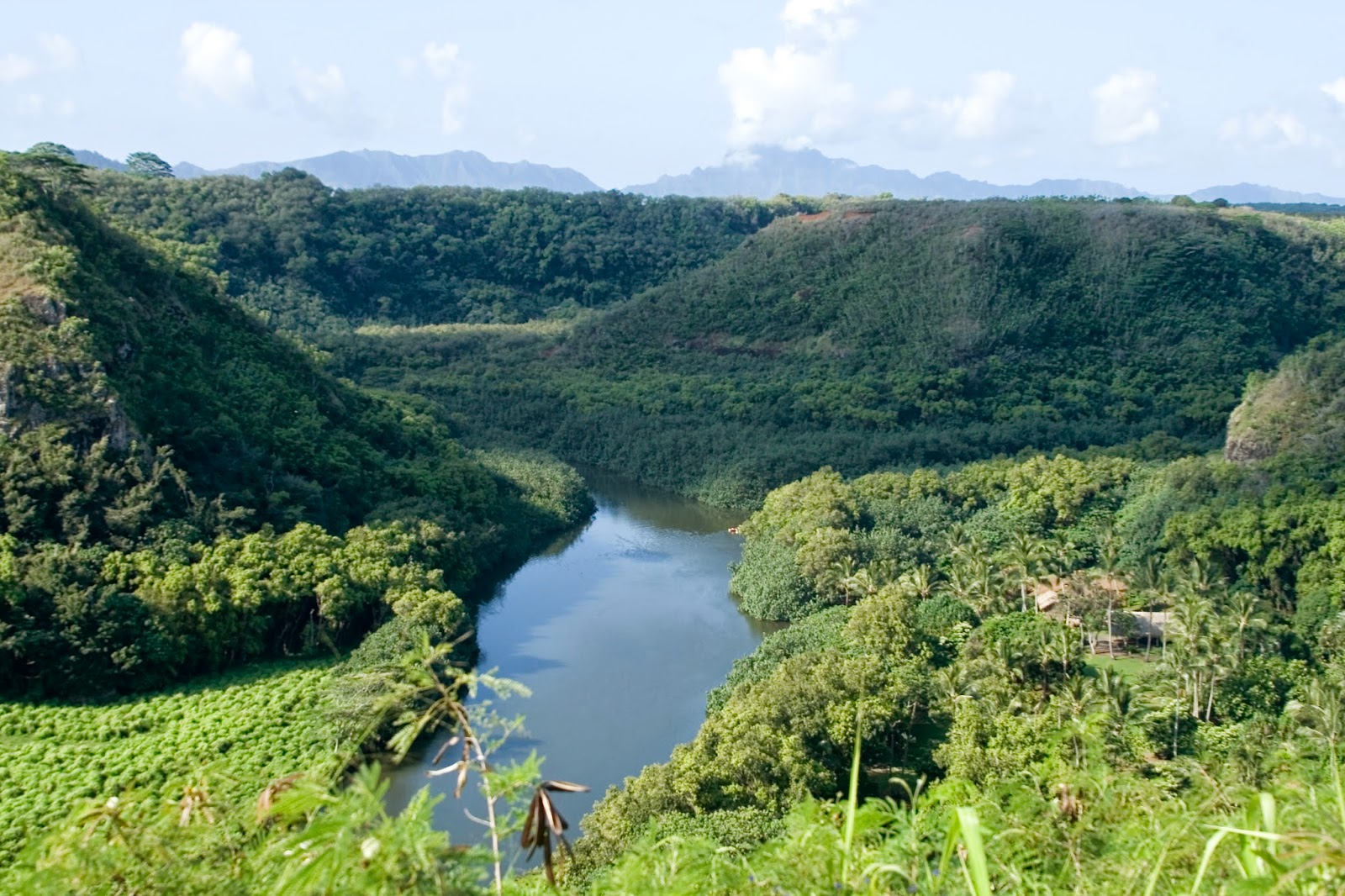 Life in the Gateway City: Kauai - The Rain Forest