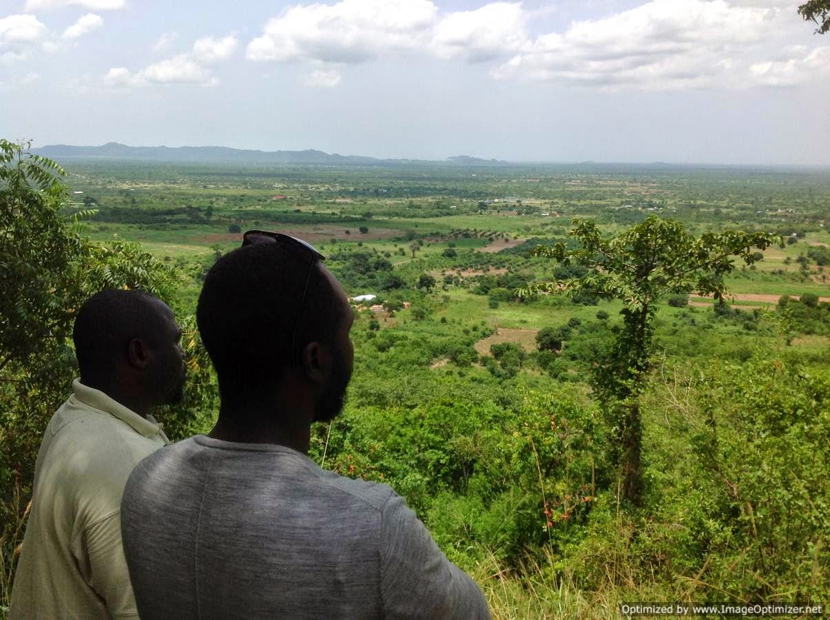 Hive Properties GH November 2014