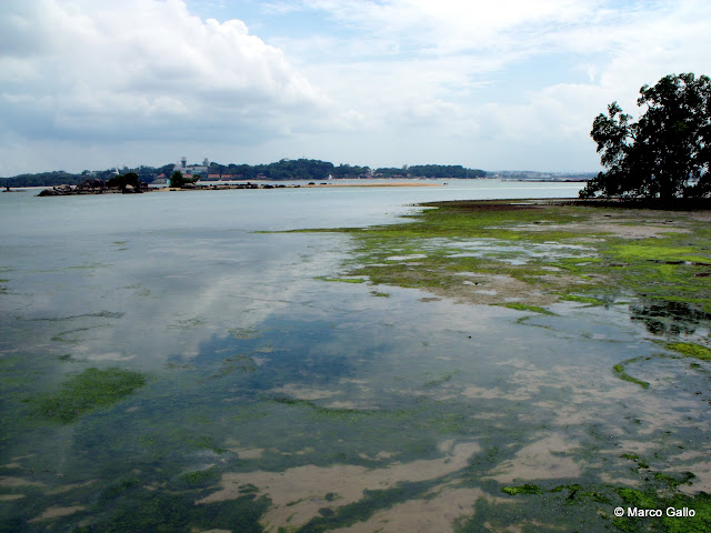 PULAU UBIN, PARAÍSO NATURAL. SINGAPUR