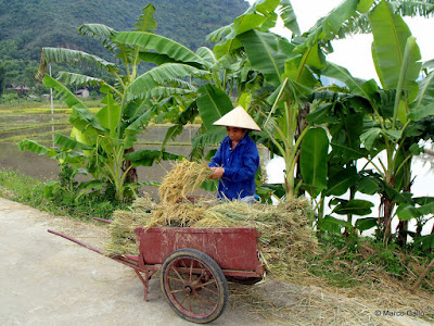 MAI CHAU, VIETNAM