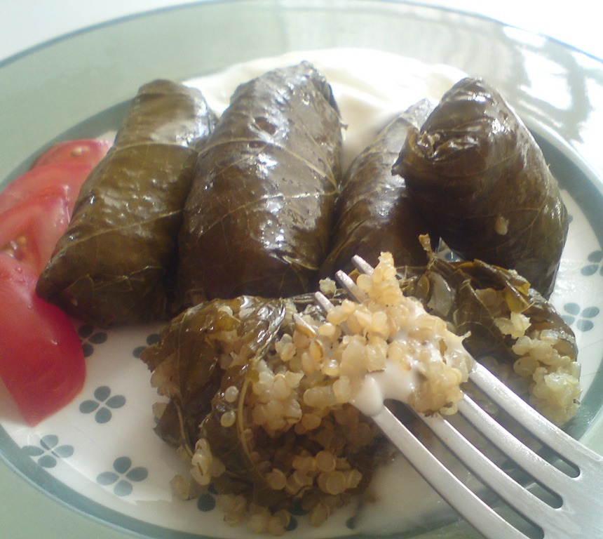 It All Tastes Greek To Me Stuffed Vine leaves with Rice, Raisins and