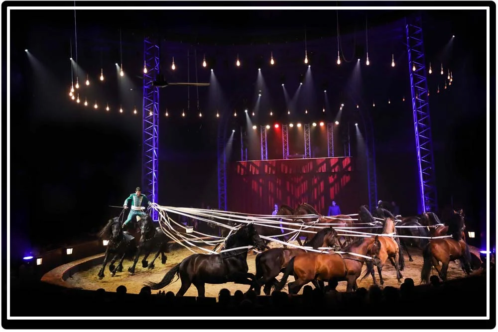 Carrousel de chevaux au cirque équestre Origines d'Alexis Gruss