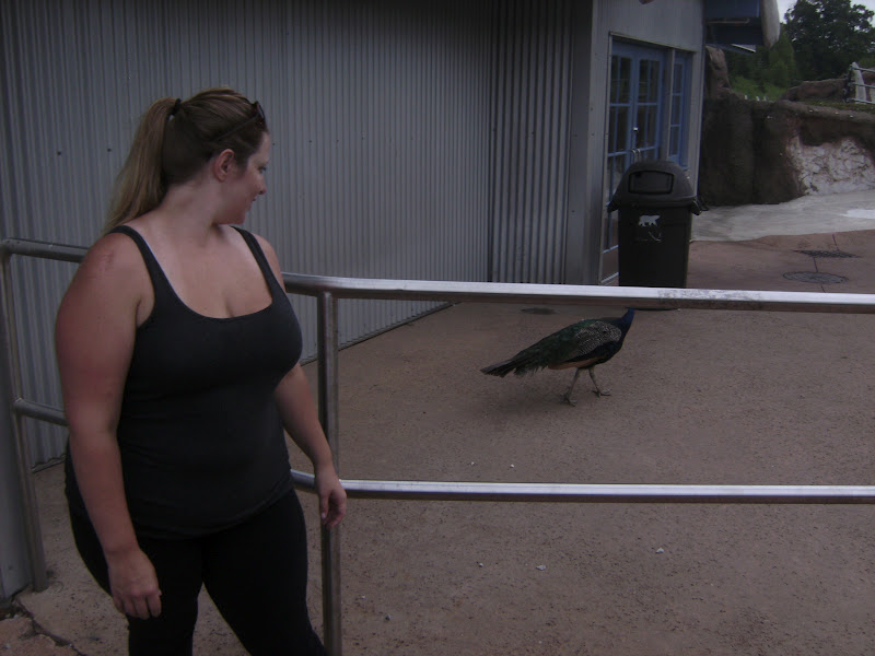 The Ultimate Life List Weigh in Wednesdays I'VE LOST 100 POUNDS!