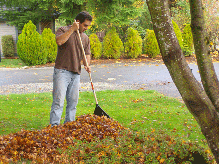Shave Like Grandad: A New Discovery: The Anti-Raking Stroke -- Recommended