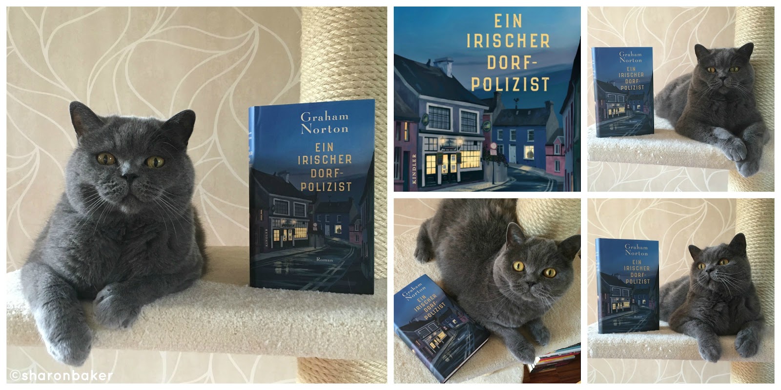 Https Lauf Heel De Media Downloads Pdf Lauf Heel De 20180623 Bt Titelseite 1500 Sportler Zwischen Sieben Und 80 Jahren Beim Heel Lauf Pdf