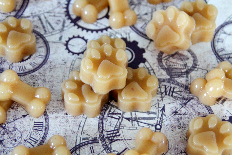 Dalmatian DIY Using Homemade Bone Broth and Gelatin in Gummy Treats