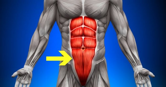 How to Build Specifically Lower Ab Muscles - Bodydulding