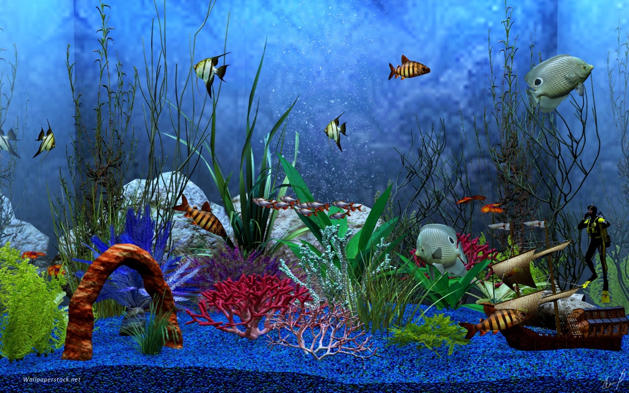 wallpaper ikan bergerak dalam aquarium