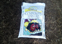 LI Compost Composted Manure in soil Before and After