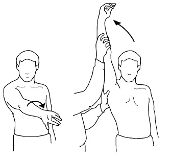 Test de Neer para el pinzamiento subacromial