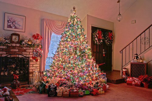 Merry Christmas, Christmas Tree